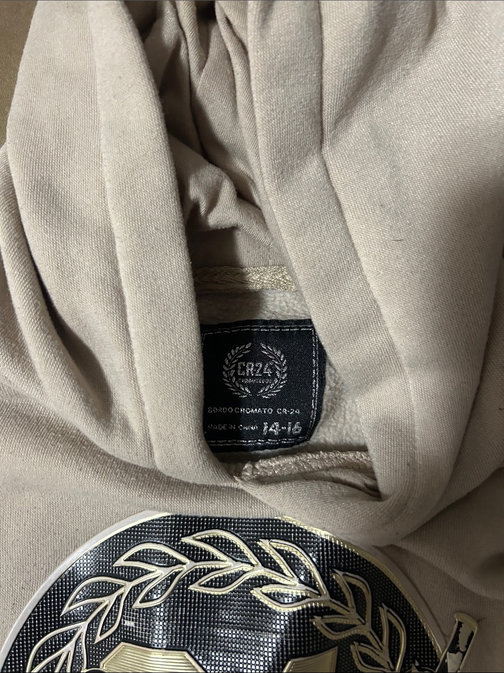 Beige Hoodie with Metallic Crest and Sleeve Lettering